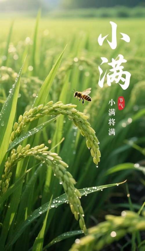 度小满注销后还可以开通吗图标