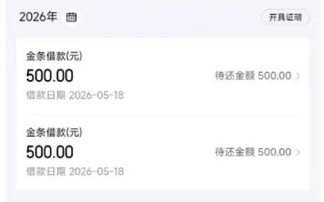 京东金条限额提前还款修改不了金额游戏截图