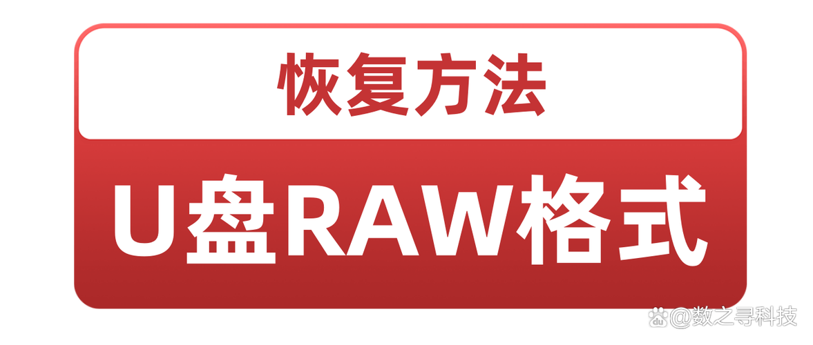 u盘变成了raw怎么修复游戏截图