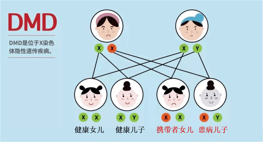 家族遗传疾病包括哪些缩略图