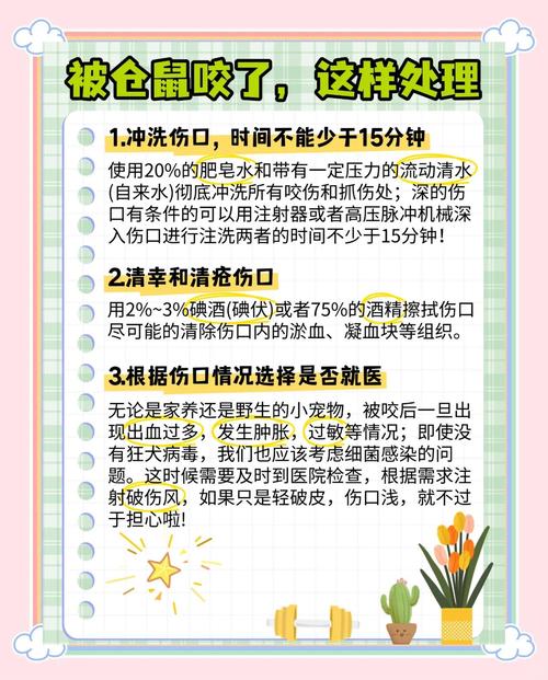 被自家养的仓鼠咬了要打针吗游戏截图