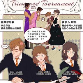 哈利波特可以转服吗