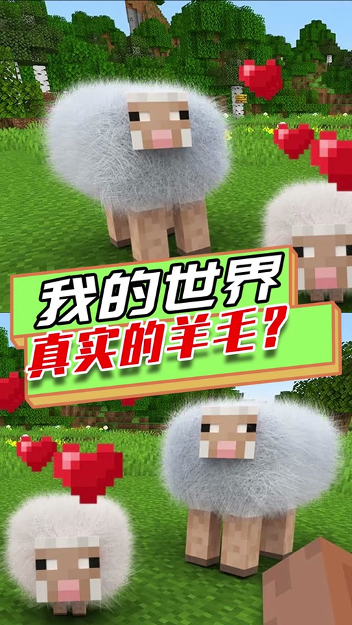我的世界羊毛可以做什么