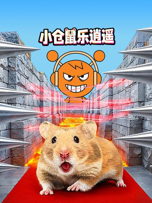 3-6岁免费观看动画片小昌鼠缩略图