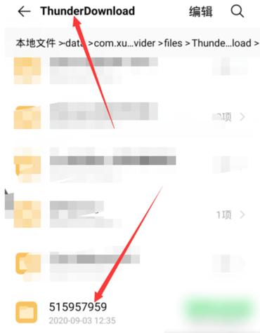 如何将手机迅雷的文件导到本地