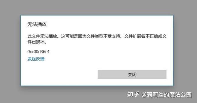 视频无法播放文件格式不支持的解决方法缩略图