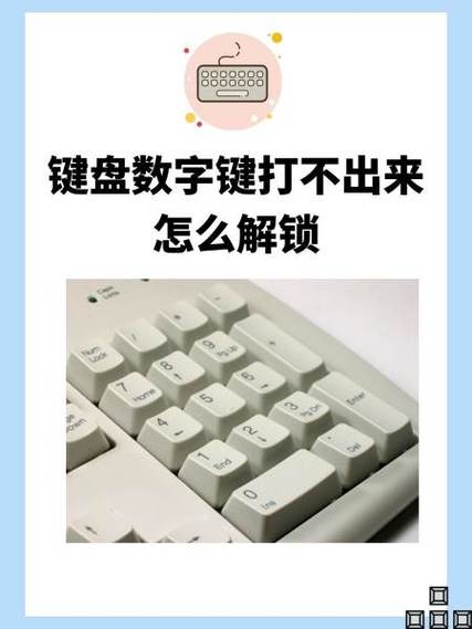 笔记本数字键盘打不出数字怎么恢复