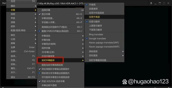 有没有边看边翻译中文字幕的软件缩略图