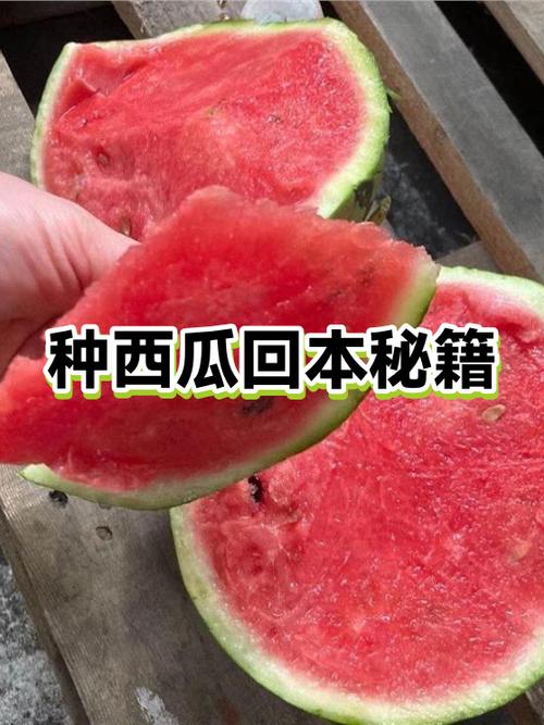 西瓜切开了放冰箱可以放多久缩略图