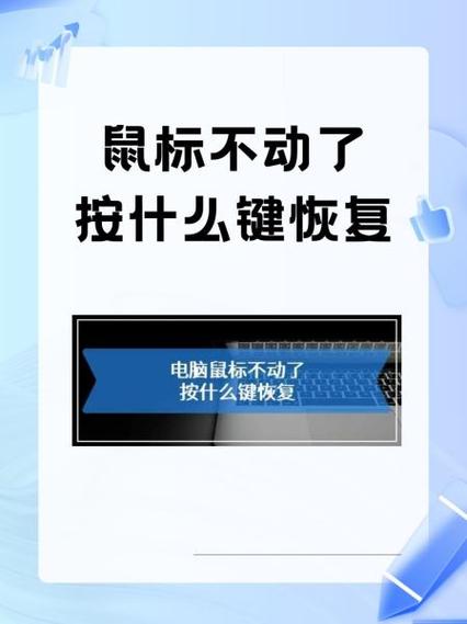 鼠标滚动中键不能放大缩小什么原因缩略图