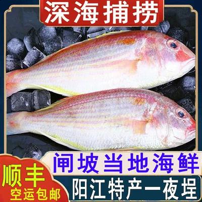 咸鱼放冷冻能保存多久缩略图