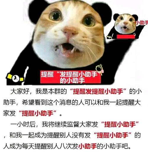 搜狗输入法打字出现表情包怎么设置