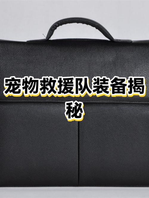 天天爱消除中的宠物子弹太弱怎么办缩略图
