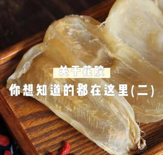 泡过的花胶放冰箱可以放多久全解锁版游戏截图