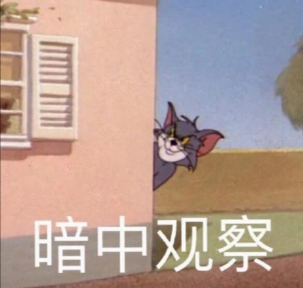 汤姆猫暗中观察表情包黑科技游戏截图