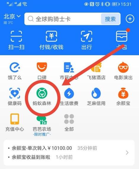 手机停机了还能用支付宝里的钱吗游戏截图