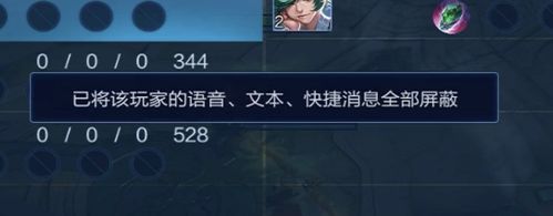 王者荣耀怎么屏蔽局内文字缩略图