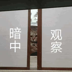 支付宝消息显示暗中观察代表什么缩略图