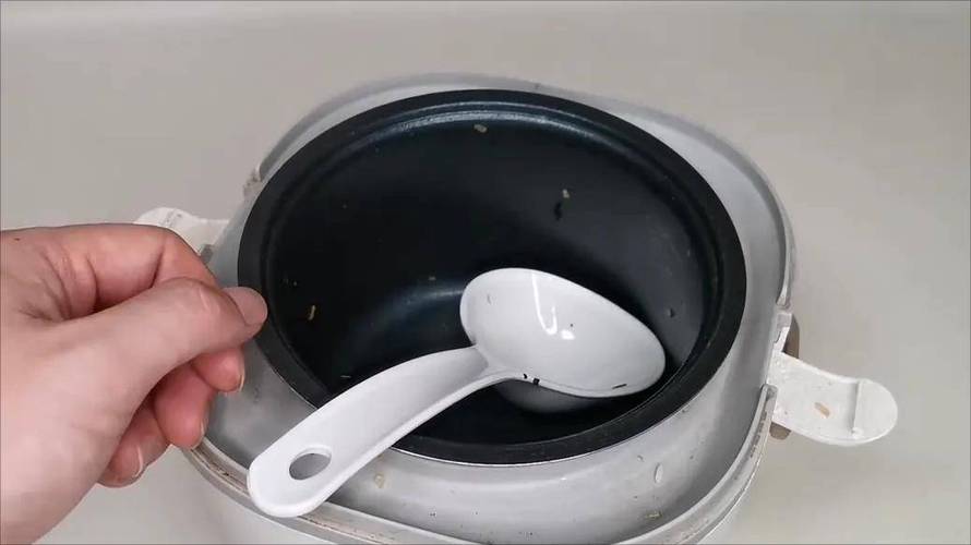 电饭锅内胆的黑色涂层掉了有毒吗游戏截图