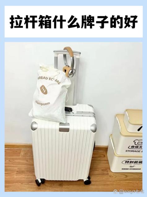 新秀丽拉杆箱密码忘了怎么办游戏截图