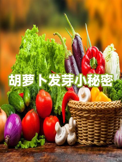 植物大战僵尸里的胡萝卜有什么用