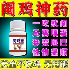 公鸡喂什么药不打架