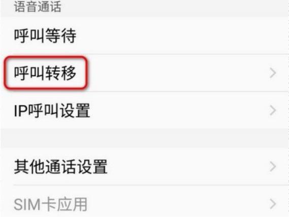vivo手机怎么转接电话到别人手机上缩略图
