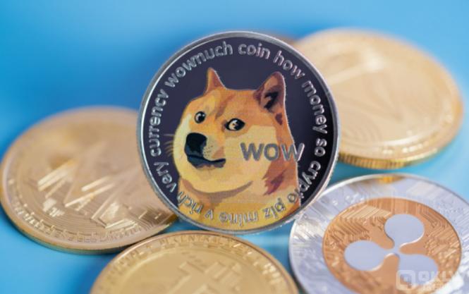 狗狗币今天最新行情游戏截图