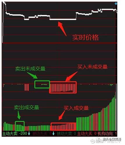 竞价成交量怎么看游戏截图