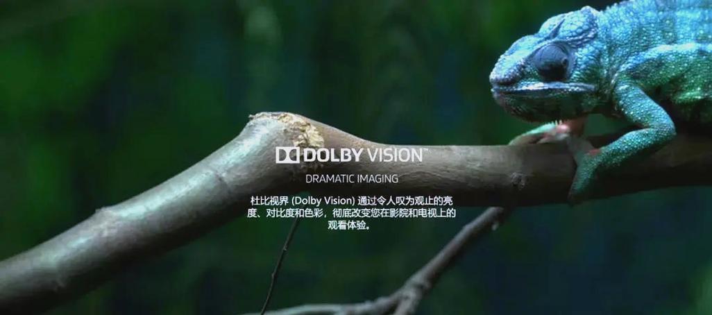 杜比全景声和杜比视界有什么区别