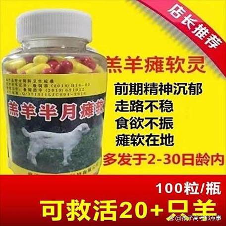 羊羔瘫软站不起来怎么治疗