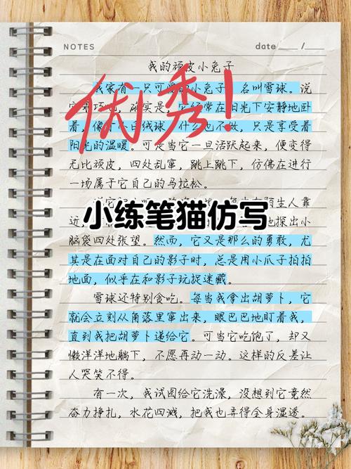 小发猫 一键生成原创文章缩略图