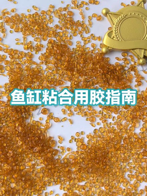鱼缸二次补胶最简单方法