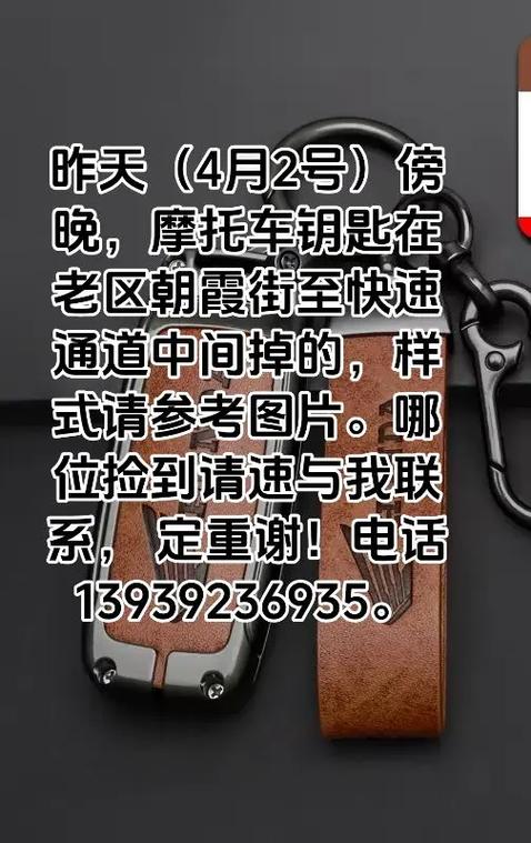 摩托车遥控钥匙丢了怎么配呀游戏截图