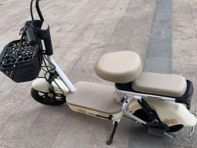 飞鸽电动车怎么解除车速限制视频游戏截图