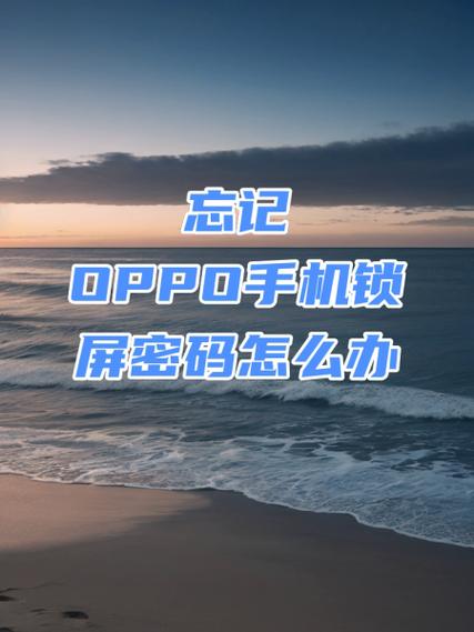 oppo1.2版本忘记锁屏密码怎么办游戏截图