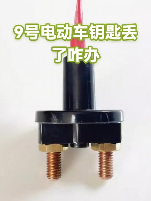 九号电动车钥匙丢了配一把多少钱