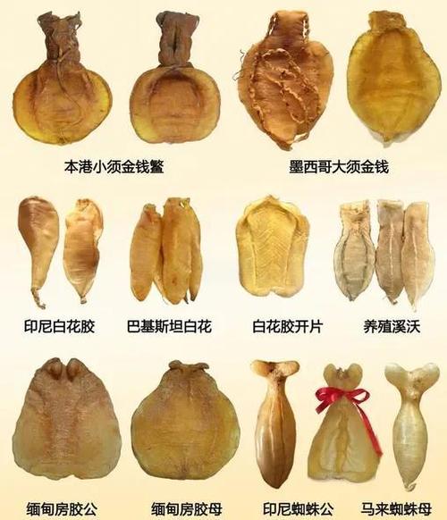 干鱼胶放冷藏三年还能吃吗官方版抢先版游戏截图