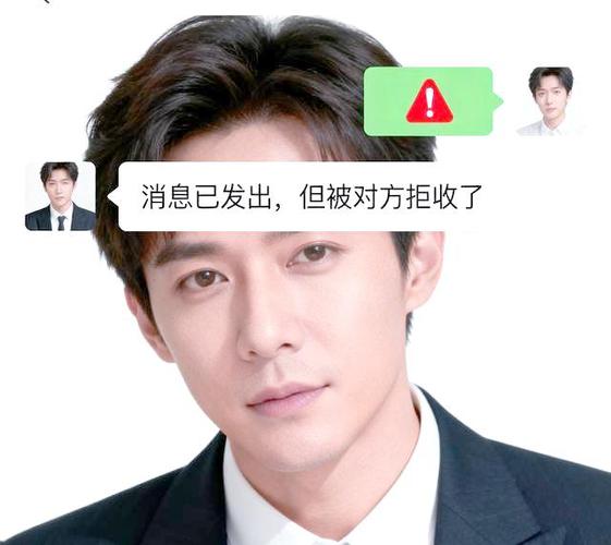 被拉黑是什么样子缩略图