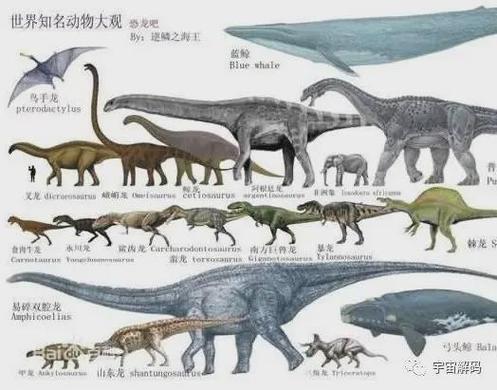 世界最大的十大恐龙游戏截图