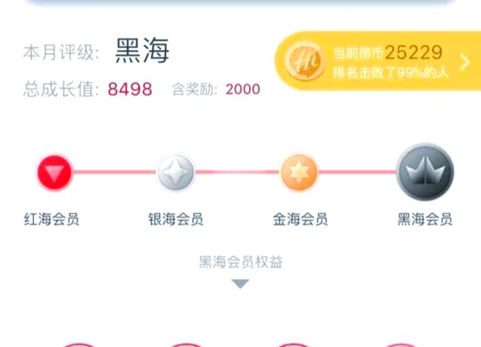 八个级别会员等级名称缩略图