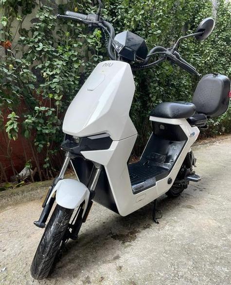 小牛怎么过户给别人