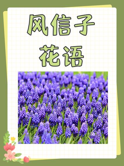 风信子寓意是什么意思游戏截图