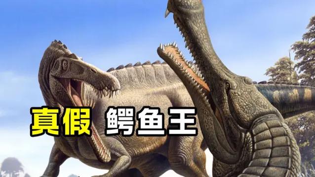 帝王鳄pk棘龙