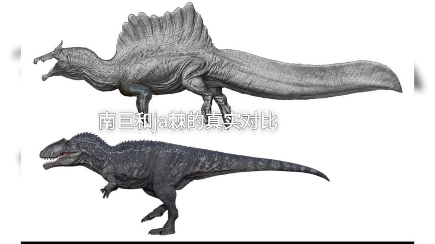 南方巨兽龙vs棘龙