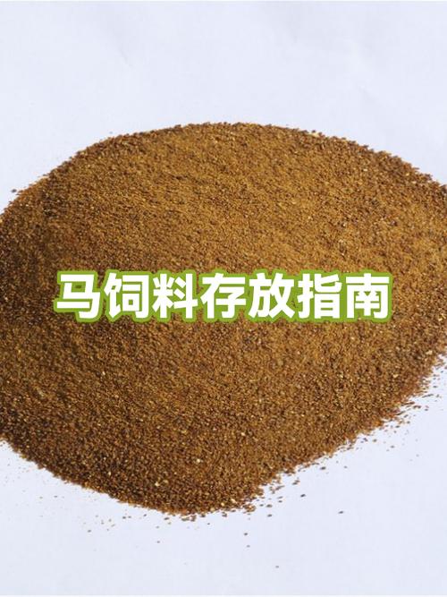 烧烤吃不完能放到第二天吃吗游戏截图