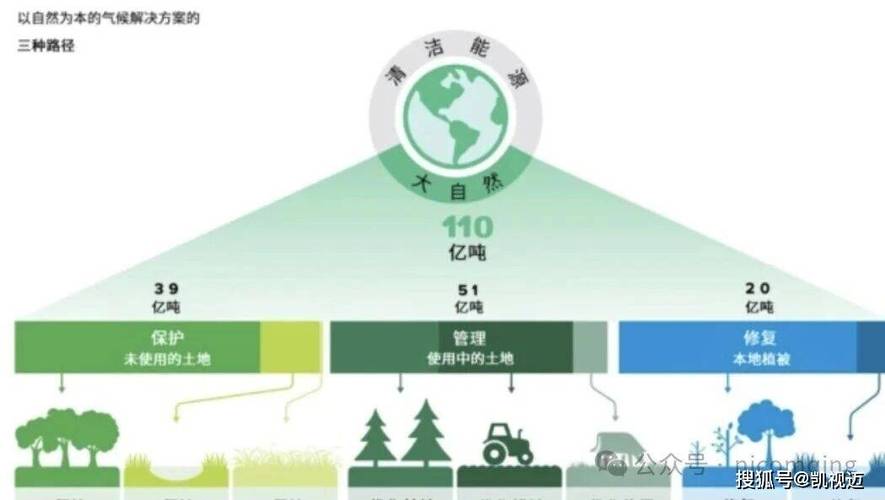 碳汇交易平台图标