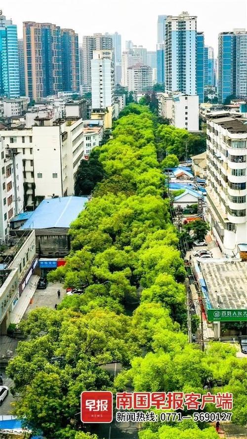 广西南宁市建政南路是南宁哪个区游戏截图