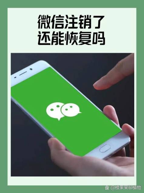 号码注销了微信还能用吗缩略图