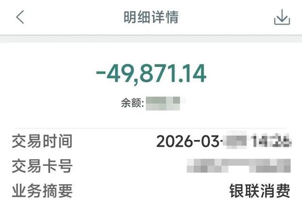 明明转了钱却查不到转账记录游戏截图